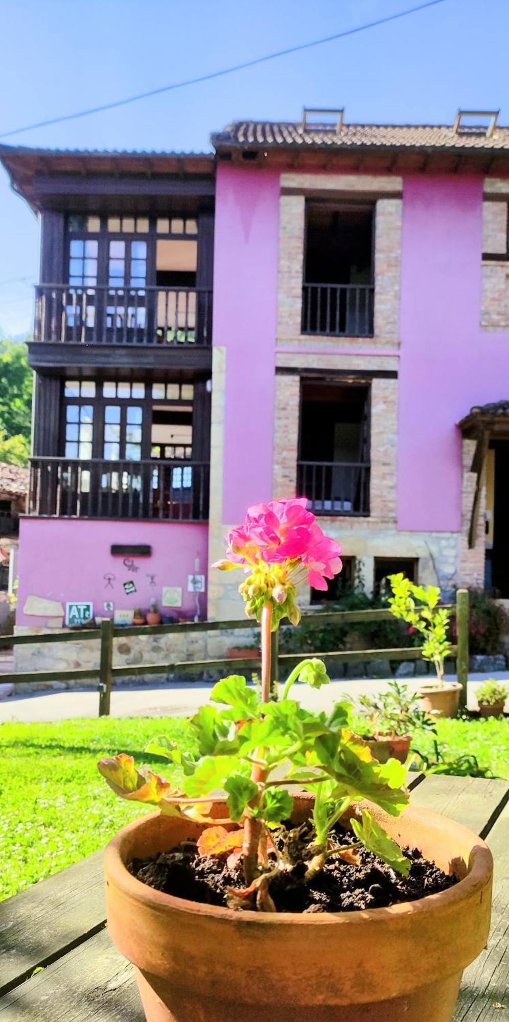 Casa Florenta Las Rozas Buitenkant foto